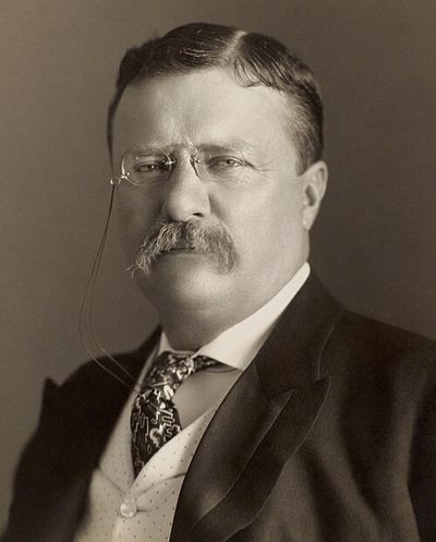 Photograph portrait of Theodore Roosevelt